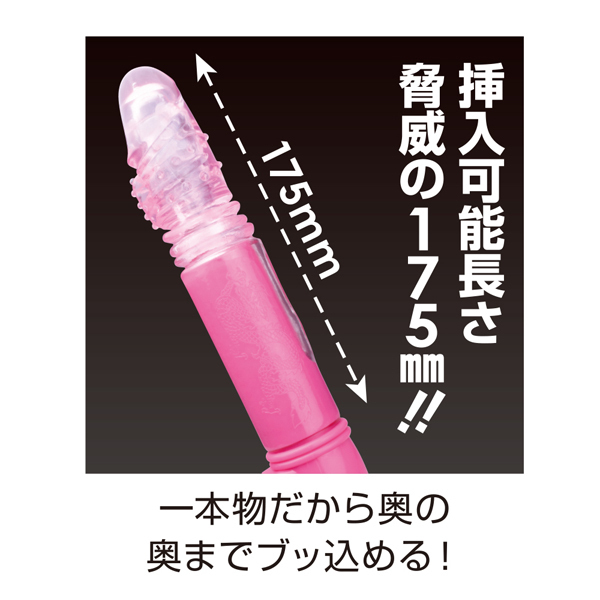 yPVPO~ʌzwri[mXgCNj@ubNllP_聄